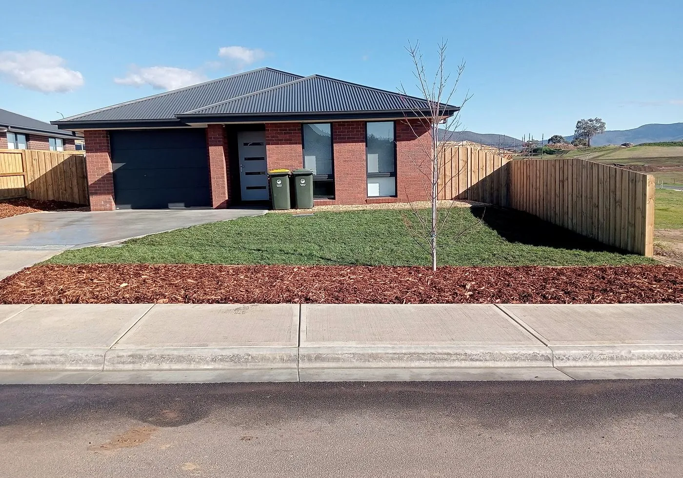 Finished front lawn with mulch beds and a young feature tree