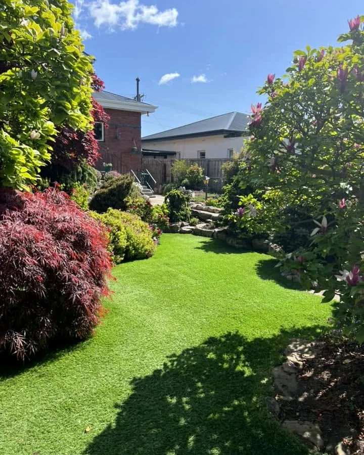 Bright green lawn framed by established garden beds